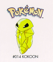 Kokoon