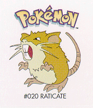 Raticate