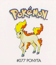 Ponyta